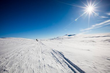 Norveç 'in güneyindeki Dovrefjell Ulusal Parkı' nda kayak gezisi..