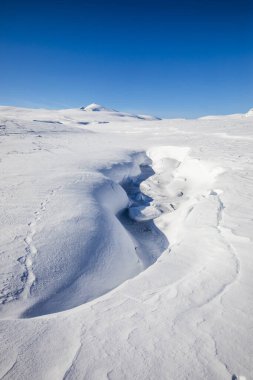 Norveç 'in güneyindeki Dovrefjell Ulusal Parkı' nda kış manzarası.