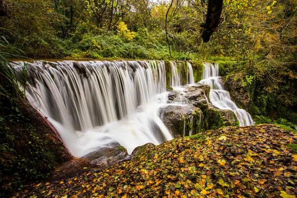 Őszi Folyó Can Batlle Garrotxa Észak Spanyolország — Stock Fotó