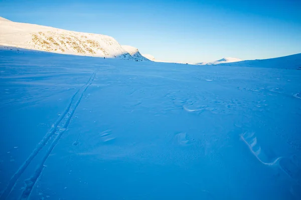 Winter Landscape Dovrefjell National Park South Norway — Zdjęcie stockowe