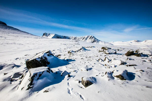 Winter Landscape Dovrefjell National Park South Norway — Foto de Stock