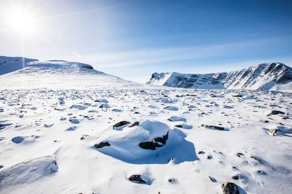 Winterlandschap Nationaal Park Dovrefjell Zuid Noorwegen — Stockfoto