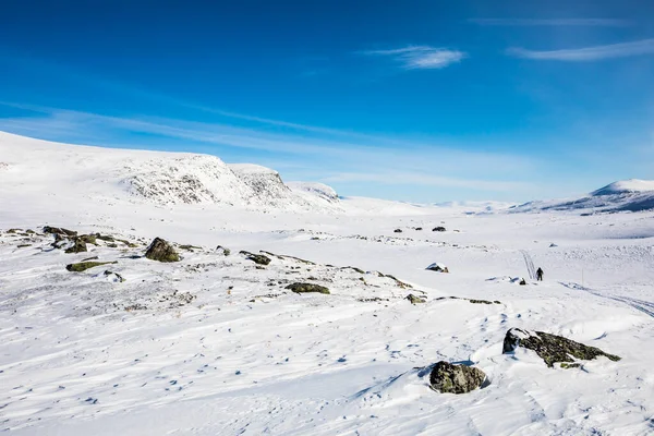 Paesaggio Invernale Nel Parco Nazionale Dovrefjell Norvegia Meridionale — Foto Stock