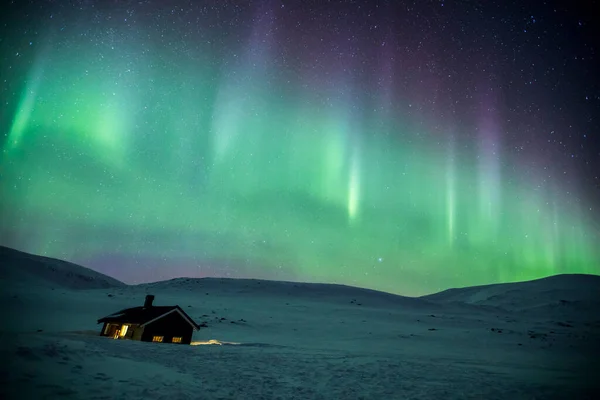 Kuzey Işıkları Reinheim Kulübesi Dovrefjell Ulusal Parkı Güney Norveç — Stok fotoğraf