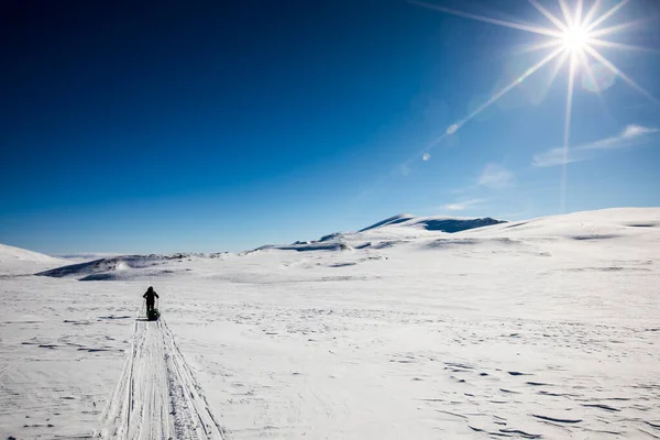 Ski Expeditie Dovrefjell National Park Zuid Noorwegen — Stockfoto