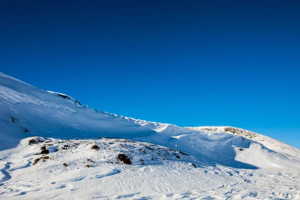 Tarmigan Cola Blanca Parque Nacional Dovrefjell Sur Noruega — Foto de Stock