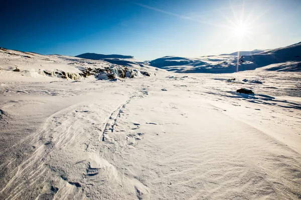 Ski Expedition Dovrefjell National Park South Norway — 스톡 사진