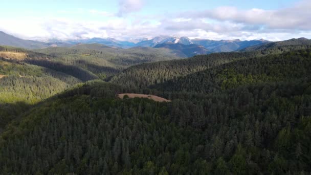 Aerial Scene Drone Summer Landscape Navarra Pyrenees Spain Uhd — Vídeo de Stock