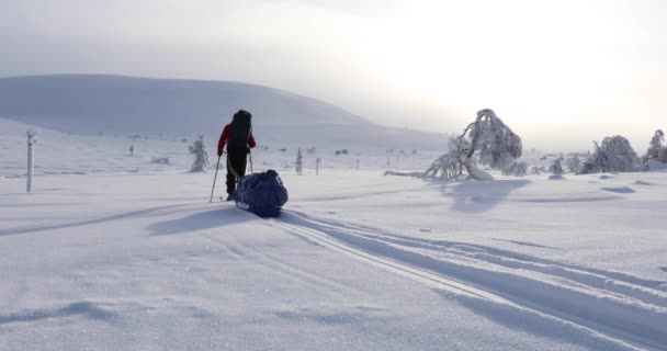 Skidexpedition Pallas Yllastunturi Nationalpark Lappland Finland — Stockvideo