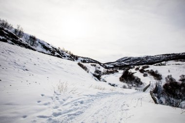 Norveç 'in güneyindeki Dovrefjell Ulusal Parkı' nda kayak gezisi..