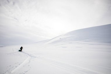 Ski expedition in Dovrefjell National Park, south Norway.
