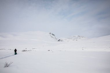 Norveç 'in güneyindeki Dovrefjell Ulusal Parkı' nda kayak gezisi..