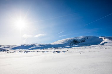 Norveç 'in güneyindeki Dovrefjell Ulusal Parkı' nda kış manzarası.