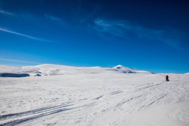 Winter landscape in Dovrefjell National Park, south Norway.