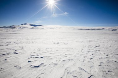 Norveç 'in güneyindeki Dovrefjell Ulusal Parkı' nda kış manzarası.
