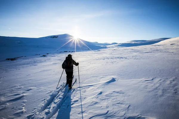 Wyprawa Narciarska Parku Narodowym Dovrefjell Południowa Norwegia — Zdjęcie stockowe