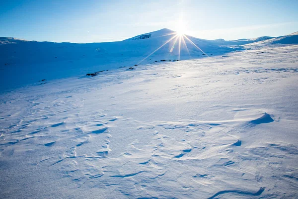 Winterlandschap Nationaal Park Dovrefjell Zuid Noorwegen — Stockfoto