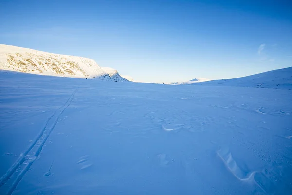 Paesaggio Invernale Nel Parco Nazionale Dovrefjell Norvegia Meridionale — Foto Stock