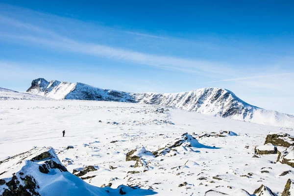 Ski Expedition Dovrefjell National Park South Norway — 스톡 사진