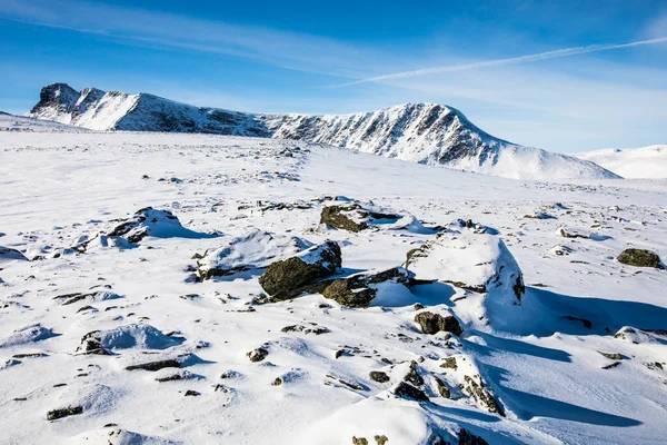 Paisaje Invernal Parque Nacional Dovrefjell Sur Noruega — Foto de Stock