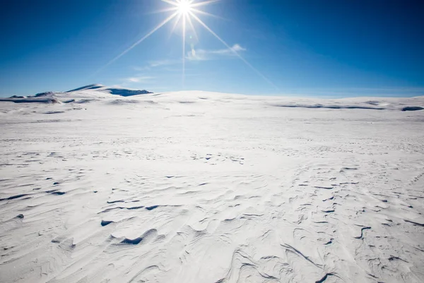 Winter landscape in Dovrefjell National Park, south Norway.