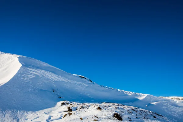 White Tailed Ptarmigan Dovrefjell National Park South Norway — 图库照片