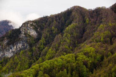 Puigsacalm tepesinde bahar günbatımı, La Garrotxa, İspanya.
