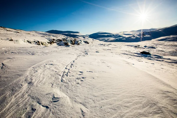 Expedición Esquí Parque Nacional Dovrefjell Sur Noruega — Foto de Stock