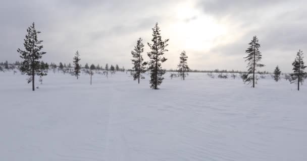 Expédition Ski Dans Parc National Pallas Yllastunturi Laponie Finlande — Video