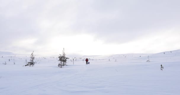 Expedição Esqui Parque Nacional Pallas Yllastunturi Lapônia Finlândia — Vídeo de Stock
