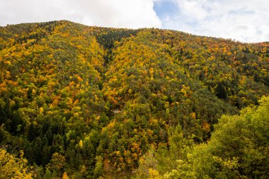 Sonbahar Ordesa ve Monte Perdido Ulusal Parkı, İspanya