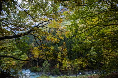 Sonbahar Ordesa ve Monte Perdido Ulusal Parkı, İspanya