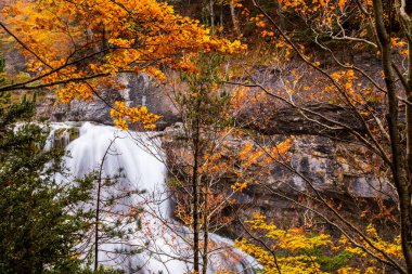 Sonbahar Ordesa ve Monte Perdido Ulusal Parkı, İspanya