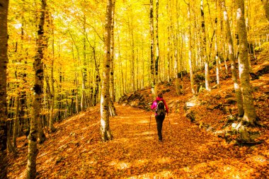 Sonbaharda Ordesa ve Monte Perdido Ulusal Parkı 'nda genç bir kadın.