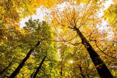 Sonbahar Ordesa ve Monte Perdido Ulusal Parkı, İspanya