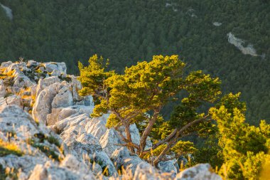 La Garrotxa, Girona, İspanya 'da günbatımı ve rüzgar bulutları.