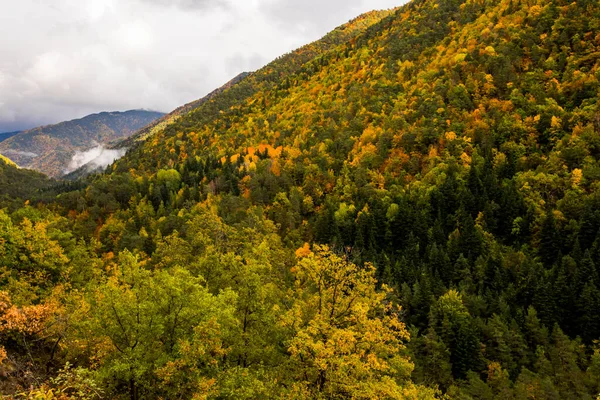 Sonbahar Ordesa Monte Perdido Ulusal Parkı Spanya — Stok fotoğraf