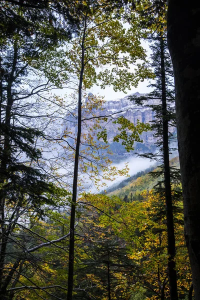 Herbst Ordesa Und Nationalpark Monte Perdido Spanien — Stockfoto