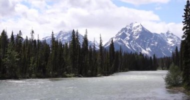 Summer landscape in Jasper National Park, Canada