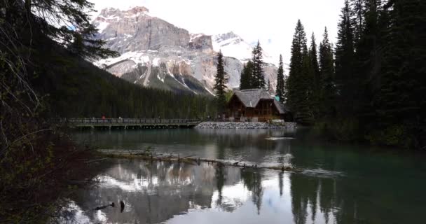 Summer Landscape Emerald Lake Yoho National Park Canada — Stok video