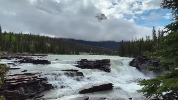 Summer Athabasca Falls Jasper National Park Canada — Vídeos de Stock