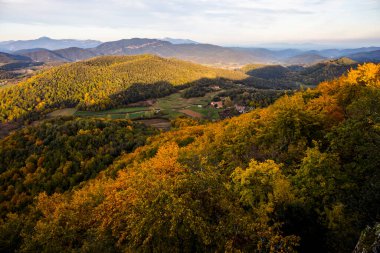 La Fageda D En Jorda Ormanı 'nda sonbahar, La Garrotxa, Kuzey İspanya.