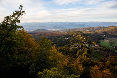 La Fageda D En Jorda Ormanı 'nda sonbahar, La Garrotxa, Kuzey İspanya.