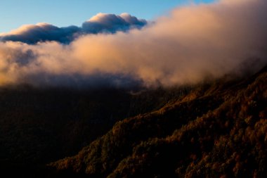 Puigsacalm tepesinde sonbahar gündoğumu, La Garrotxa, Kuzey İspanya.