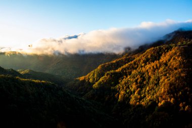 Puigsacalm tepesinde sonbahar gündoğumu, La Garrotxa, Kuzey İspanya.