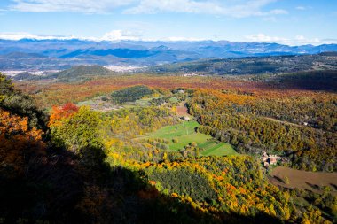 La Fageda D En Jorda Ormanı 'nda sonbahar, La Garrotxa, Kuzey İspanya.