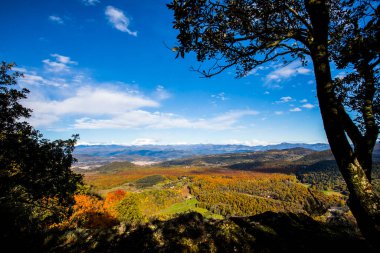 La Fageda D En Jorda Ormanı 'nda sonbahar, La Garrotxa, Kuzey İspanya.
