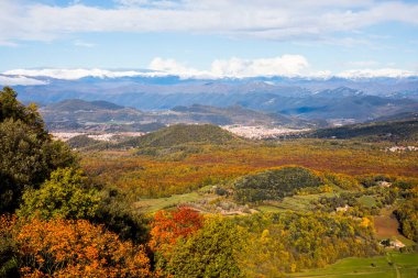La Fageda D En Jorda Ormanı 'nda sonbahar, La Garrotxa, Kuzey İspanya.