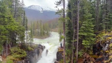 Yaz mevsimi Sunwapta Şelaleleri, Jasper Ulusal Parkı, Kanada