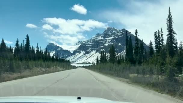 Summer Landscape Road Banff National Park Canada — Wideo stockowe